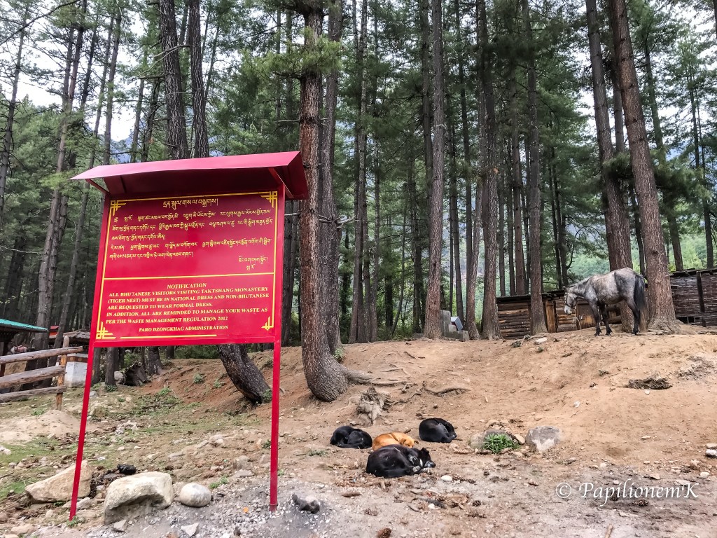sleeping dogs in Bhutan