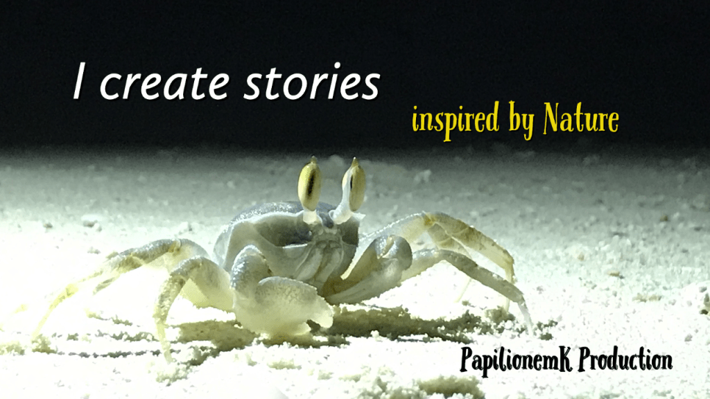 papilionemK, ghost crab, hermit crab